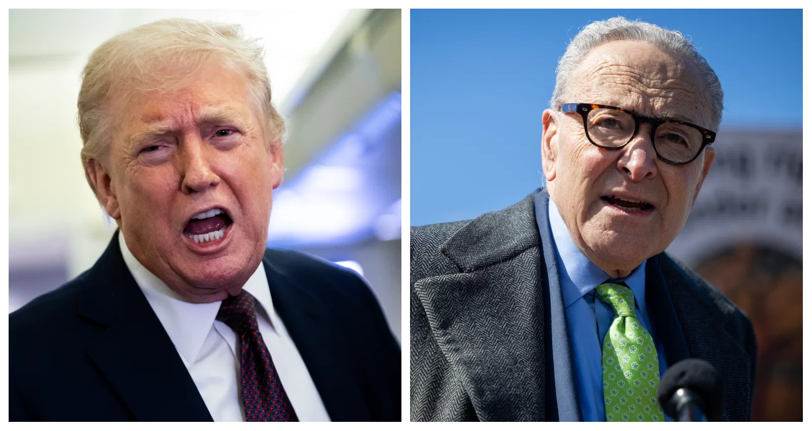 Trump Says ICE Could Be Deployed To Airports Amid Dem Shutdown